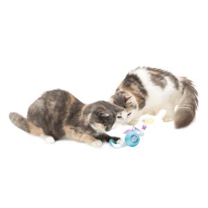 猫用 おもちゃ 猫壱 キャット電動トイセット クリアの詳細画像4