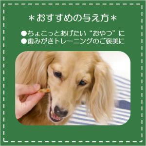 アウトレット品 ライオン ペットキッス PET...の詳細画像3