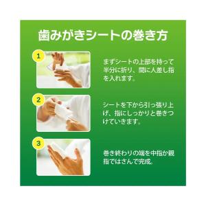 ライオン PETKISS 歯みがきシート 犬・...の詳細画像4