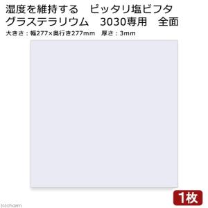 湿度を維持する ピッタリ塩ビフタ グラステラリウ...の商品画像