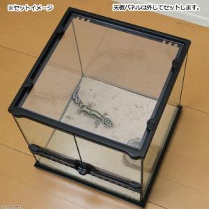 湿度を維持する ピッタリ塩ビフタ グラステラリ...の詳細画像1