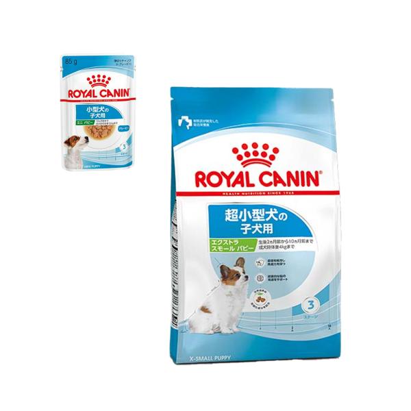 ロイヤルカナン　エクストラスモール　パピー　８００ｇ　＋　パウチ　１袋　おまけ付　お一人様１点限り