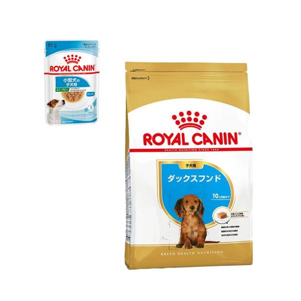 ロイヤルカナン　ダックスフンド　子犬用　８００ｇ　＋　パウチ　１袋　おまけ付　お一人様１点限り