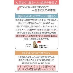 【送料無料】ロイヤルカナン 成猫用 お試し5種...の詳細画像2