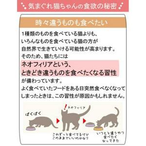【送料無料】ロイヤルカナン 成猫用 お試し5種...の詳細画像3