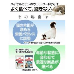 【送料無料】ロイヤルカナン 成猫用 お試し5種...の詳細画像4