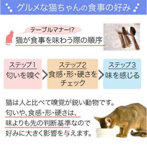 【送料無料】ロイヤルカナン 子猫 成長後期の子...の詳細画像3