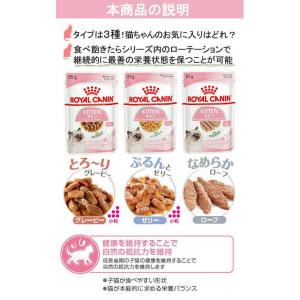 【送料無料】ロイヤルカナン 子猫 成長後期の子...の詳細画像5