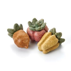 マルカン ナチュラハ デンタルトイ ベジタブル 3個の詳細画像1