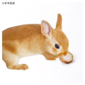 マルカン ひまわりスライス 25gの詳細画像2