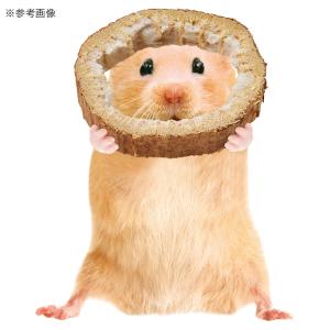 マルカン ひまわりスライス 25gの詳細画像3