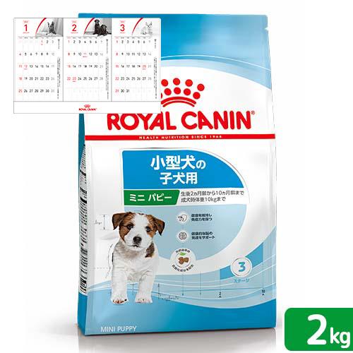 ロイヤルカナン　ミニ　パピー　子犬用　２ｋｇ　３１８２５５０７９３００１　ジップ付　小型犬　＋　２０...
