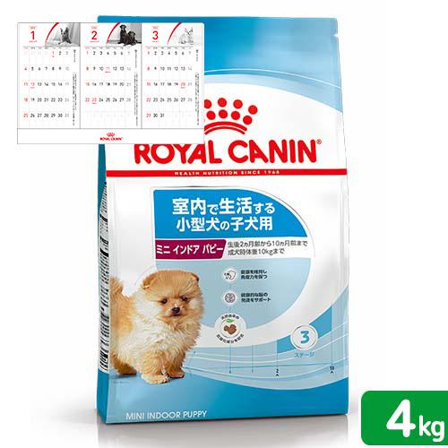 ロイヤルカナン　ミニ　インドア　パピー　子犬用　４ｋｇ　３１８２５５０８４９５９３　ジップ付　小型犬...