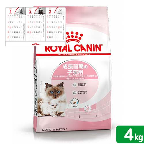ロイヤルカナン　子猫　マザー＆ベビーキャット　成長前期の子猫用　４ｋｇ　３１８２５５０７０７３２９　...