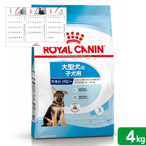 ロイヤルカナン　マキシ　パピー　子犬用　４ｋｇ　３１８２５５０４０２１４９　ジップ付　大型犬　＋　２...