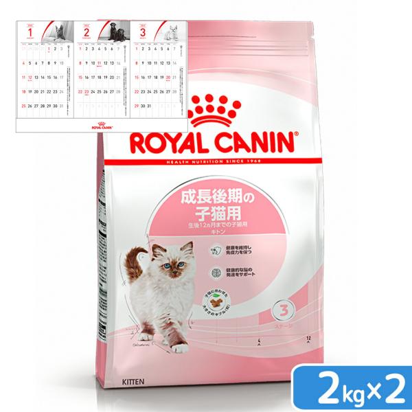 ロイヤルカナン　子猫　キトン　成長後期の子猫用　生後１２ヵ月齢まで　２ｋｇ×２袋　ジップ付　キャット...