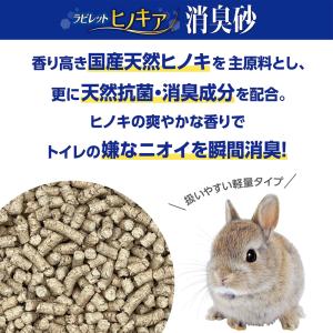 GEX ラビレット ヒノキア消臭砂 14L 消...の詳細画像1