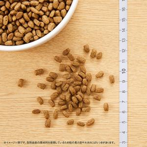 ニュートロ 猫 ナチュラルチョイス 避妊・去勢...の詳細画像5