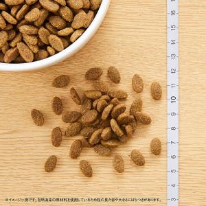ニュートロ 猫 ナチュラルチョイス 穀物フリー...の詳細画像5