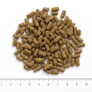 国産うさぎの食事 1.2kg 全成長段階用 主...の詳細画像2
