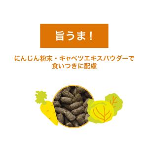 国産うさぎの食事 1.2kg 全成長段階用 主...の詳細画像4