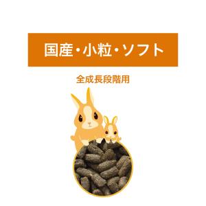 国産うさぎの食事 1.2kg 全成長段階用 主...の詳細画像5