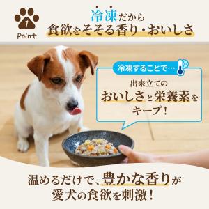 冷凍★ニュートロ フローズン 日本の恵み 大地...の詳細画像3