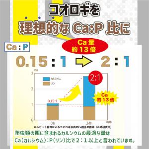 キョーリン カルガット 200g 爬虫類 お一...の詳細画像3