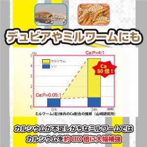 キョーリン カルガット 200g 爬虫類 お一...の詳細画像4