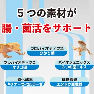 キョーリン キンザイム 100g 爬虫類 お一...の詳細画像3