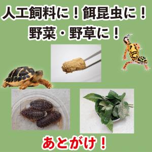 キョーリン キンザイム 100g 爬虫類 お一...の詳細画像4