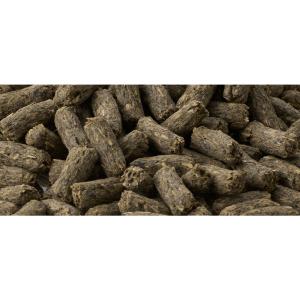 ラビジョン ラビットフード 5歳からのシニア ...の詳細画像1