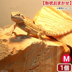 レッドラインストーン M 1個 爬虫類の詳細画像1