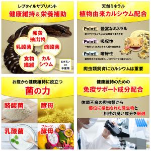日本動物薬品 ニチドウ メディパウダーRX 40gの詳細画像1