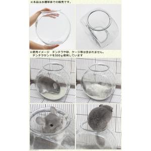 チンチラ用砂浴び エステドラムの詳細画像2
