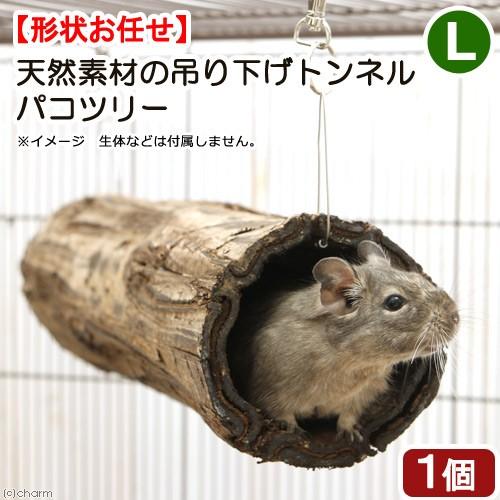 小動物　おもちゃ　天然素材の吊り下げトンネル　パコツリー（シダの木）　Ｌサイズ　ハムスター　シマリス...