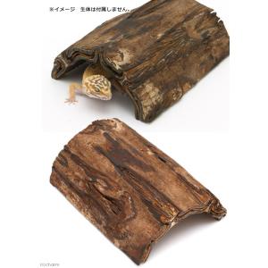 爬虫類 シェルター 天然素材のハーフシェルター...の詳細画像1