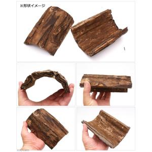 爬虫類 シェルター 天然素材のハーフシェルター...の詳細画像2