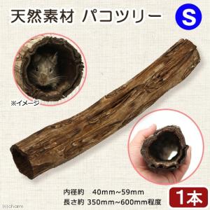 小動物　おもちゃ　天然素材のトンネル　パコツリー（シダの木）　Ｓサイズ　ハムスター　シマリス　デグー　モモンガ