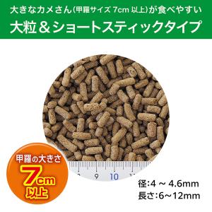 GEX カメ元気 ごちそうごはん 大粒 180...の詳細画像1
