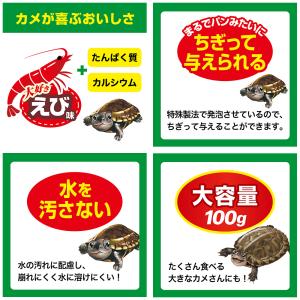 GEX カメ元気 ごちそうパン えび味 100...の詳細画像2