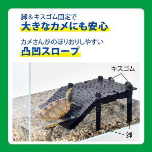 GEX カメ元気 カメの島 ロフトタイプ ダス...の詳細画像3