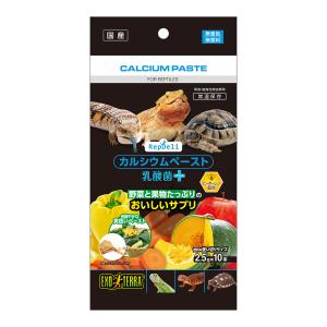 ＧＥＸ　ＲｅｐＤｅｌｉ　カルシウムペースト　乳酸菌プラス　２．５ｇ×１０本入り