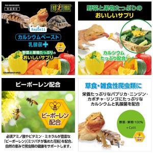 GEX RepDeli カルシウムペースト 乳...の詳細画像2