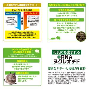 GEX デグープレミアムフード シンバイオティ...の詳細画像1
