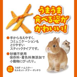 GEX うまうまマンゴー 20g 無添加 無着...の詳細画像2