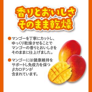 GEX うまうまマンゴー 20g 無添加 無着...の詳細画像3