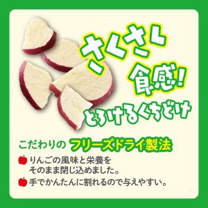 GEX さくっとまんぷくりんご フリーズドライ...の詳細画像2