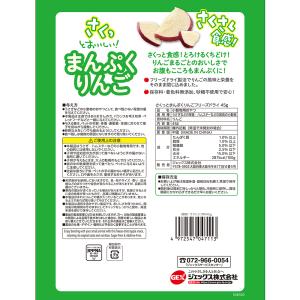 GEX さくっとまんぷくりんご フリーズドライ...の詳細画像4