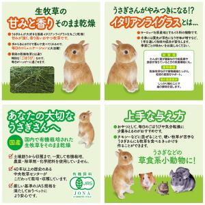 GEX 旬牧草 毎日ごほうび イタリアンライグ...の詳細画像2